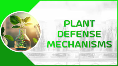 Peers Alley Media: Plant Defense Mechanisms