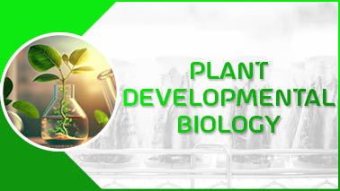 Peers Alley Media: Plant Developmental Biology