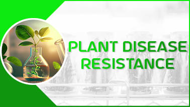 Peers Alley Media: Plant Disease Resistance