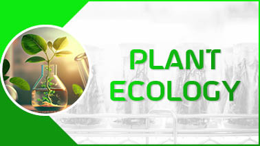 Peers Alley Media: Plant Ecology