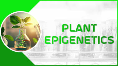 Peers Alley Media: Plant Epigenetics