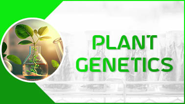 Peers Alley Media: Plant Genetics