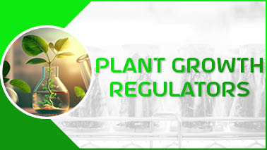 Peers Alley Media: Plant Growth Regulators