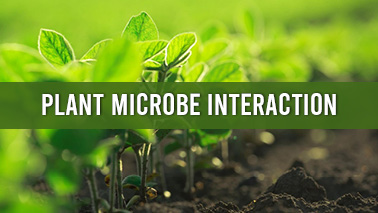 Peers Alley Media: Plant Microbe Interactions