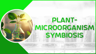 Peers Alley Media: Plant-Microorganism Symbiosis