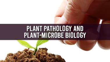 Peers Alley Media: Plant Pathology and Plant-Microbe Biology