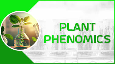 Peers Alley Media: Plant Phenomics