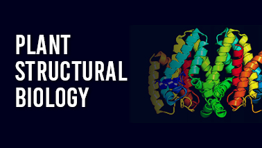 Peers Alley Media: Plant Structural Biology