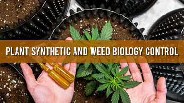 Peers Alley Media: Plant Synthetic and Weed Biology Control