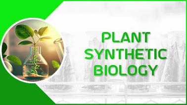 Peers Alley Media: Plant Synthetic Biology