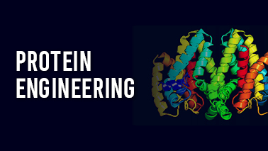 Peers Alley Media: Protein Engineering