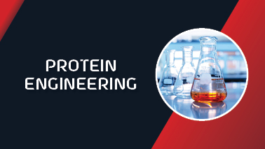 Peers Alley Media: Protein Engineering Peers Alley Media: Protein Engineering