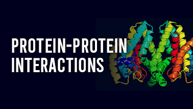 Peers Alley Media: Protein-Protein Interactions