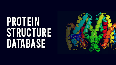 Peers Alley Media: Protein Structure Database