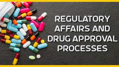 Peers Alley Media: Regulatory Affairs and Drug Approval Processes