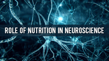 Peers Alley Media: Role of Nutrition in Neuroscience