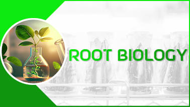 Peers Alley Media: Root Biology