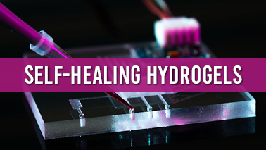 Peers Alley Media: Self-Healing Hydrogels