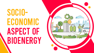 Peers Alley Media: Socio-Economic Aspect of Bioenergy