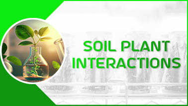 Peers Alley Media: Soil Plant Interactions