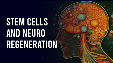 Peers Alley Media: Stem Cells and Neuroregeneration
