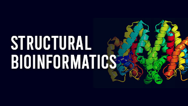 Peers Alley Media: Structural Bioinformatics