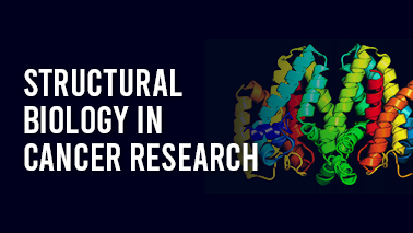 Peers Alley Media: Structural Biology in Cancer Research