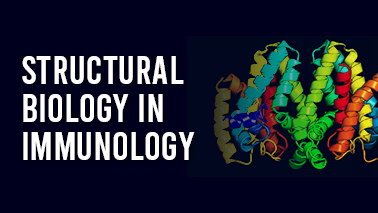 Peers Alley Media: Structural Biology in Immunology