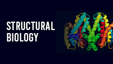 Peers Alley Media: Structural Biology