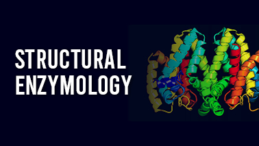 Peers Alley Media: Structural Enzymology