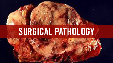 Peers Alley Media: Surgical Pathology