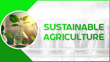 Peers Alley Media: Sustainable Agriculture