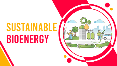Peers Alley Media: Sustainable Bioenergy