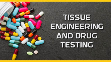 Peers Alley Media: Tissue Engineering and Drug Testing