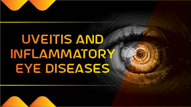 Peers Alley Media: Uveitis and Inflammatory Eye Diseases