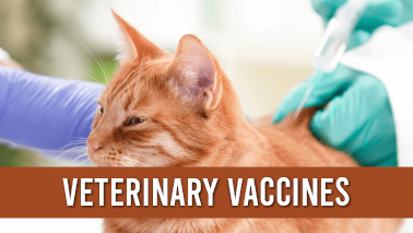 Peers Alley Media: Veterinary Vaccines and Immunology