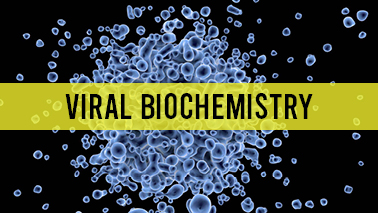 Peers Alley Media: Viral Biochemistry